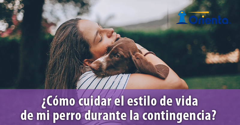 ¿Cómo cuidar el estilo de vida de mi perro durante la contingencia? 