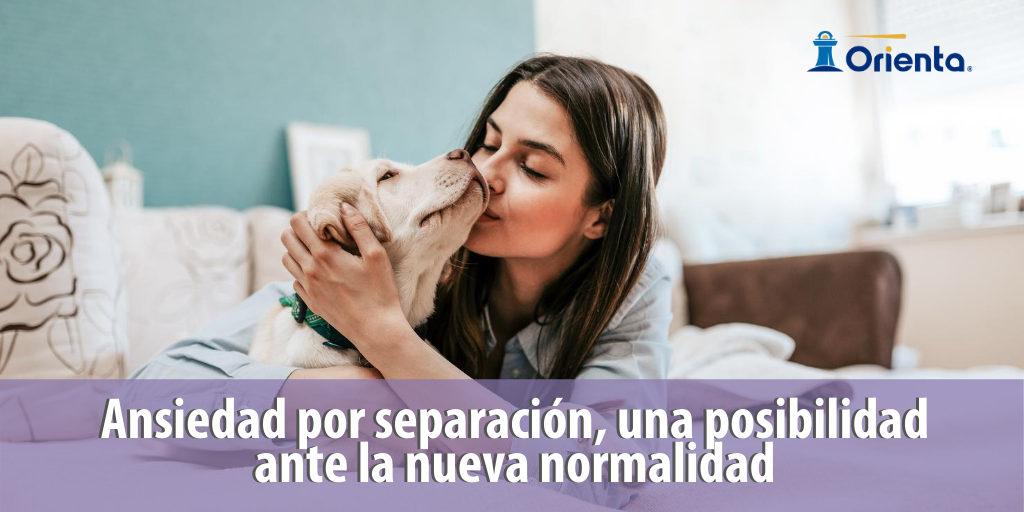 Ansiedad por separación, una posibilidad ante la nueva normalidad