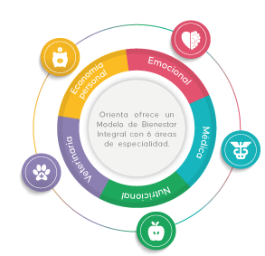 Imagen Modeo-PAE4-especialidades